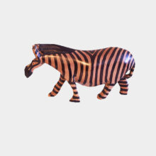 African Zebra-b