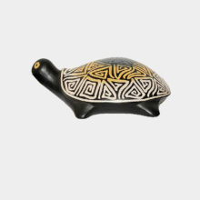 turtle-a