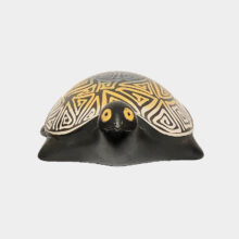 turtle-c