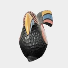 Toucan bird-b