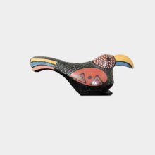 Toucan bird-c