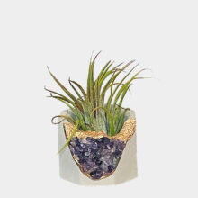 octagonal pot with amethyst