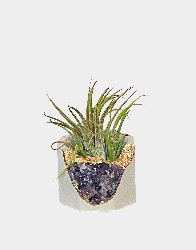 octagonal pot with amethyst