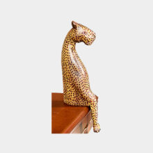 sitting cheetah-a